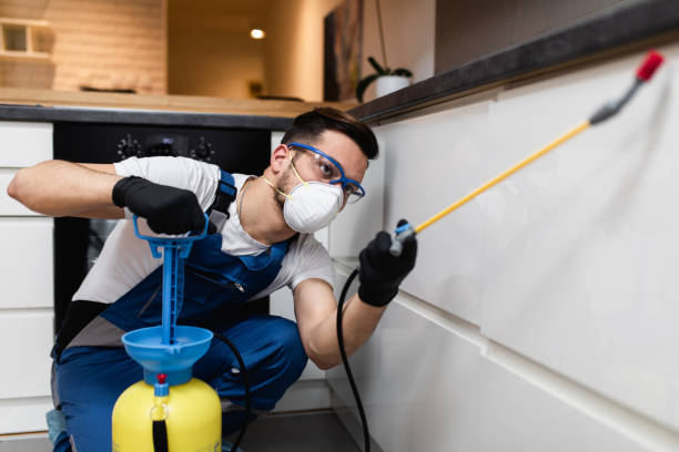 Best Cockroach Control Services  in Hondo, TX
