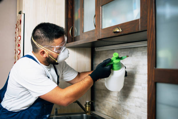 Best Best Pest Control Companies  in Hondo, TX