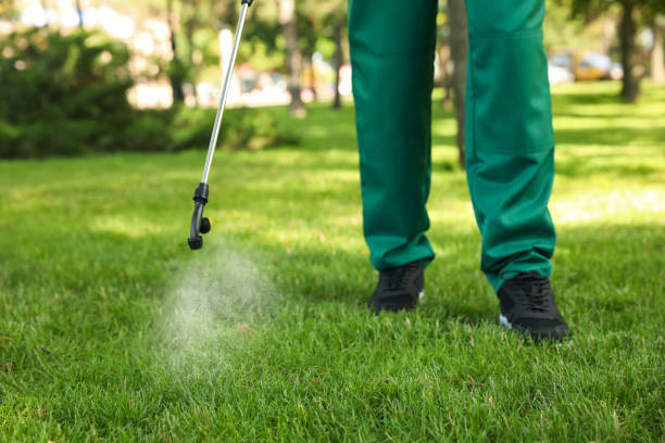 Best Best Pest Control Companies  in Hondo, TX